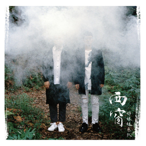 成人在线免费视频观看
