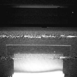 成人在线免费视频观看
