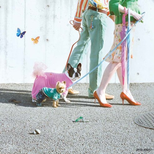 成人在线免费视频观看
