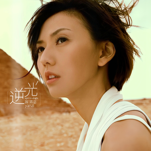 成人在线免费视频观看
